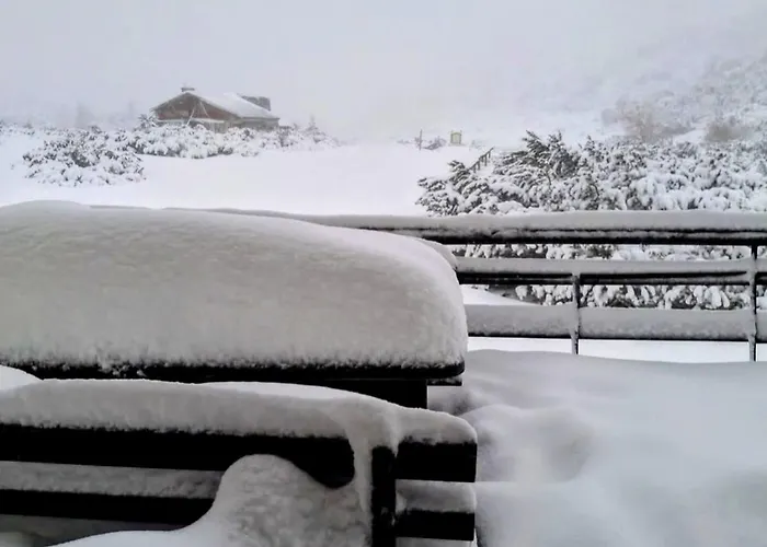 View Emerald Apartment